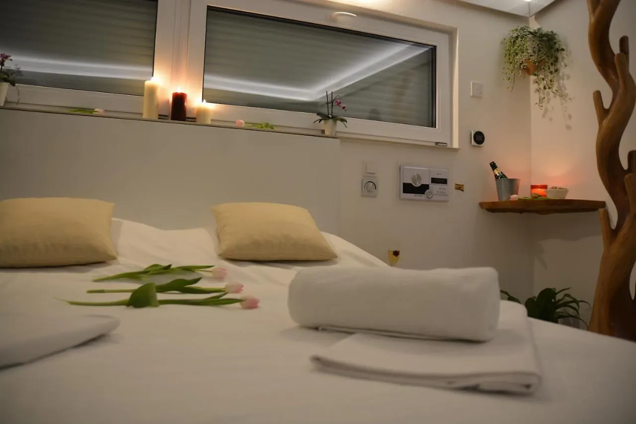 Wellness Vila Bohemia Praga