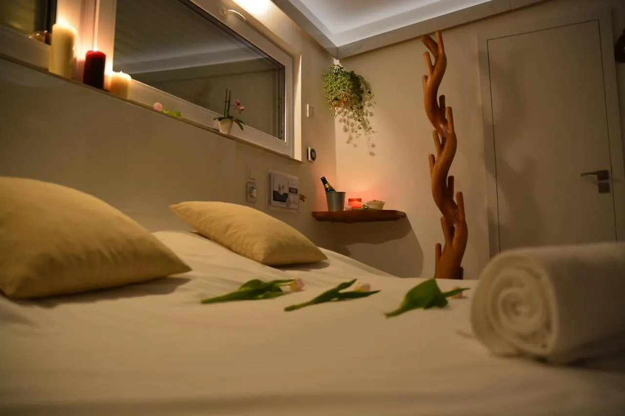 Pensión Wellness Vila Bohemia Praga
