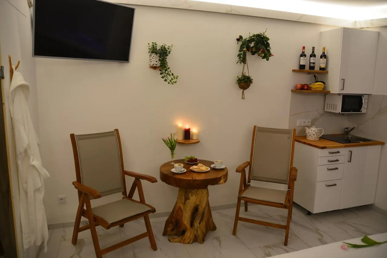 Guest house Wellness Vila Bohemia Prague