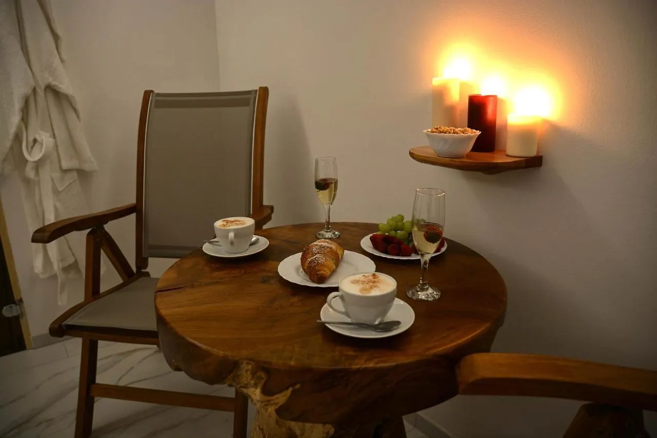 Wellness Vila Bohemia Prague Czech Republic